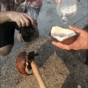 Meet your Posher, Josh